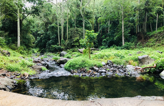 Dive into Australia's National Parks with this captivating creek scene. Explore camping, conservation, and wildlife in these pristine landscapes. Embark on your next adventure today!